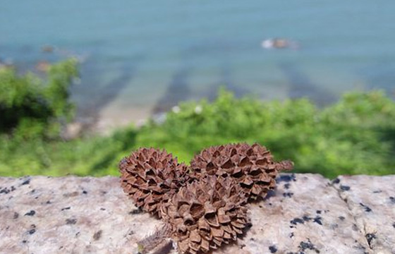 &#108;&#101;&#121;&#117;